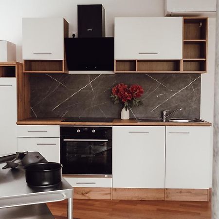 Central Apartment Maister Kranj Esterno foto